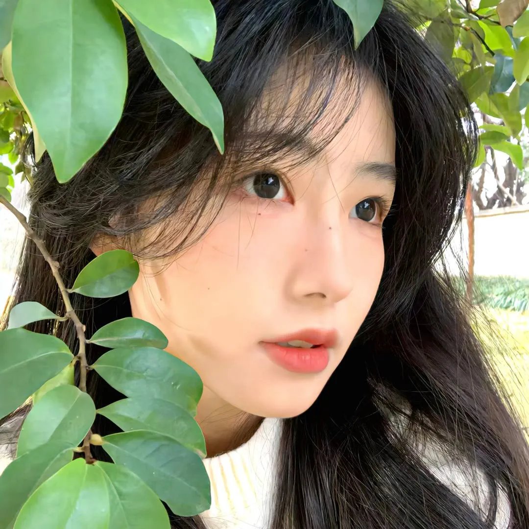流星语粤语 海报