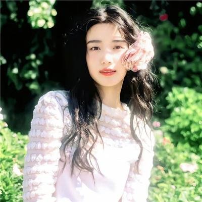 战鸭突击队 海报
